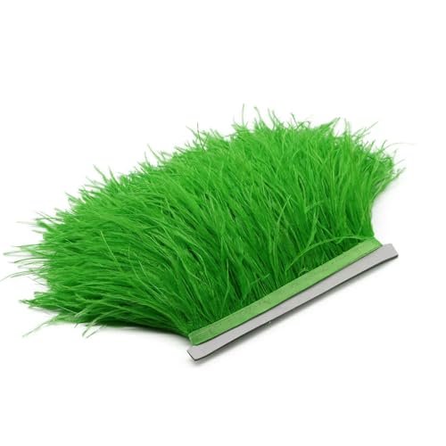 1 m, 5 m, 10 m, 8–10 cm, schwarz-weißes Straußenfederband, mehrfarbige Feder zum Nähen, Basteln, Kleidern, Kleidungsdekoration – grün – 10 m von VHEOKG