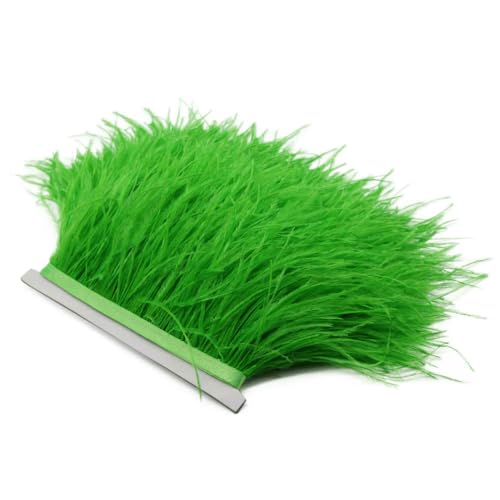 1 m flauschige weiße Straußenfedern, Fransenbesatz, 8–10 cm, Hochzeits- und Partydekoration, Federband für Kleider, Kleidung, Nähen, Basteln, 10 Grün, 1 Meter von VHEOKG