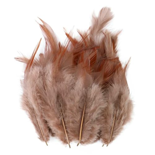 10–15 cm lila Hühnerfeder, natürliche Hahnenfedern, Material zum Fliegenbinden, Hahnenfedern zum Basteln, Traumfänger, Schmuck, Dekoration, Kaffeebraun, 50 Stück 10–15 cm lila Hühnerfeder, natürliche Hahnenfedern, Material zum Fliegenbinden, Hahnenfedern zum Basteln, Traumfänger, Schmuck, Dekoration, Kaffeebraun, 50 Stück von VHEOKG