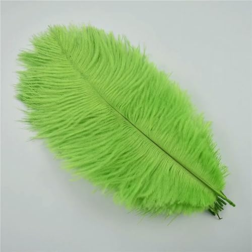 10 Stück/Los 25–30 cm Straußenfedern zum Basteln, Partydekoration, Schmuckherstellung, natürliche Federn für Handarbeiten und Kunsthandwerk – grün 10 Stück/Los 25–30 cm Straußenfedern zum Basteln, Partydekoration, Schmuckherstellung, natürliche Federn für Handarbeiten und Kunsthandwerk – grün von VHEOKG
