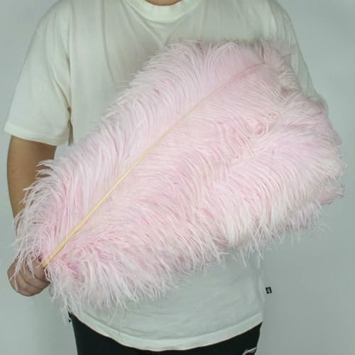 10 Stück/Los 25–60 cm Straußenfedern zum Basteln, Hochzeitsfeier-Dekoration, Straußenfedern, Tischdekoration, weiße Federn, Dekoration, Hellrosa, 50–55 cm, 22–24 Z 10 Stück/Los 25–60 cm Straußenfedern zum Basteln, Hochzeitsfeier-Dekoration, Straußenfedern, Tischdekoration, weiße Federn, Dekoration, Hellrosa, 50–55 cm, 22–24 Z von VHEOKG