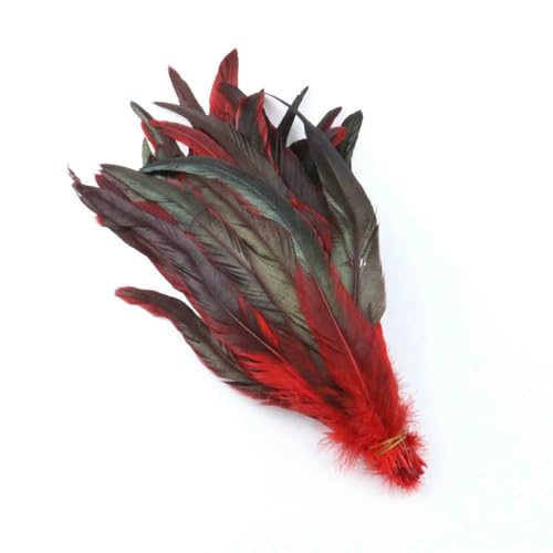 10 Stück/Los Natürliche Hahnenschwanzfedern, 25–40 cm, Hühnerfedern, Dekorationen für Karnevalsbühnenauftritte, Schwarz Rot, 30–35 cm, 10 Stück von VHEOKG