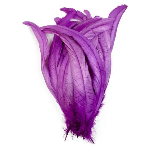 10 Stück/Los Natürliche Hahnenschwanzfedern, lose, 25–40 cm, Hühnerfedern, Dekorationen für Karnevalsbühnenauftritte, Magenta, 25–30 cm, 10 Stück 10 Stück/Los Natürliche Hahnenschwanzfedern, lose, 25–40 cm, Hühnerfedern, Dekorationen für Karnevalsbühnenauftritte, Magenta, 25–30 cm, 10 Stück von VHEOKG