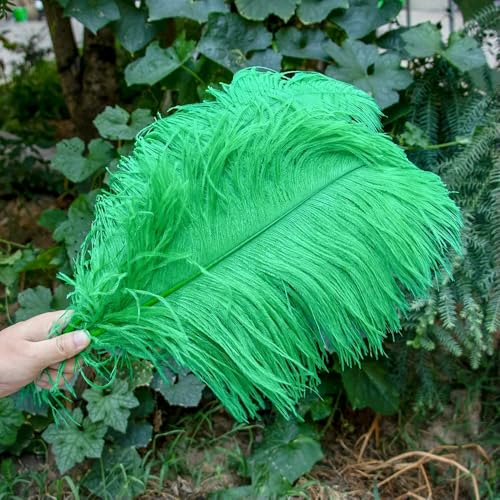 10 Stück/Los natürliche weiße Straußenfedern zum Basteln, 15–45 cm, Hochzeitsfeier-Dekoration, Tischdekoration, Karneval, Plumas Deco-Grün-30–35 cm 10 Stück/Los natürliche weiße Straußenfedern zum Basteln, 15–45 cm, Hochzeitsfeier-Dekoration, Tischdekoration, Karneval, Plumas Deco-Grün-30–35 cm von VHEOKG