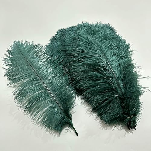 10 Stück/Lot farbige Straußenfedern zum Basteln, Tischdekoration, Hochzeitsdekoration, Bastelzubehör, Karnevalsdekor, Pluma-11 Dunkelgrün-20–25 cm, 8–10 Zoll 10 Stück/Lot farbige Straußenfedern zum Basteln, Tischdekoration, Hochzeitsdekoration, Bastelzubehör, Karnevalsdekor, Pluma-11 Dunkelgrün-20–25 cm, 8–10 Zoll von VHEOKG