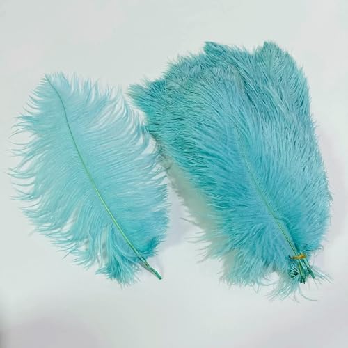 10 Stück/Lot farbige Straußenfedern zum Basteln, Tischdekoration, Hochzeitsdekoration, Bastelzubehör, Karnevalsdekor, Pluma-16 Mintgrün-35–40 cm, 14–16 Zoll 10 Stück/Lot farbige Straußenfedern zum Basteln, Tischdekoration, Hochzeitsdekoration, Bastelzubehör, Karnevalsdekor, Pluma-16 Mintgrün-35–40 cm, 14–16 Zoll von VHEOKG