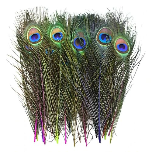 10 Stück/Lot natürlich gefärbte Pfauenfedern zum Basteln von Vasen, weiße Pfauen-Dekorfeder, DIY-Schmuckdekoration, Party-Karnevalsdekor, gemischte Farbe 2 10 Stück/Lot natürlich gefärbte Pfauenfedern zum Basteln von Vasen, weiße Pfauen-Dekorfeder, DIY-Schmuckdekoration, Party-Karnevalsdekor, gemischte Farbe 2 von VHEOKG
