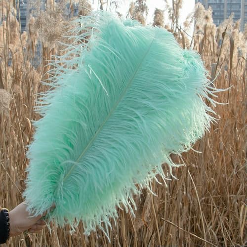 10 Stück farbige Straußenfedern 15–60 cm für Hochzeitsfeier, Heimdekoration, weiße Straußenfedern, Tischdekoration, Kunsthandwerk, Mintgrün, 30–35 cm 10 Stück farbige Straußenfedern 15–60 cm für Hochzeitsfeier, Heimdekoration, weiße Straußenfedern, Tischdekoration, Kunsthandwerk, Mintgrün, 30–35 cm von VHEOKG