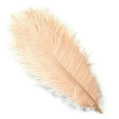 10 Stück farbige Straußenfedern 15–60 cm für Hochzeitsfeiern, Heimdekoration, weiße Straußenfedern, Tischdekoration, Kunsthandwerk, Champagner, 30–35 cm 10 Stück farbige Straußenfedern 15–60 cm für Hochzeitsfeiern, Heimdekoration, weiße Straußenfedern, Tischdekoration, Kunsthandwerk, Champagner, 30–35 cm von VHEOKG