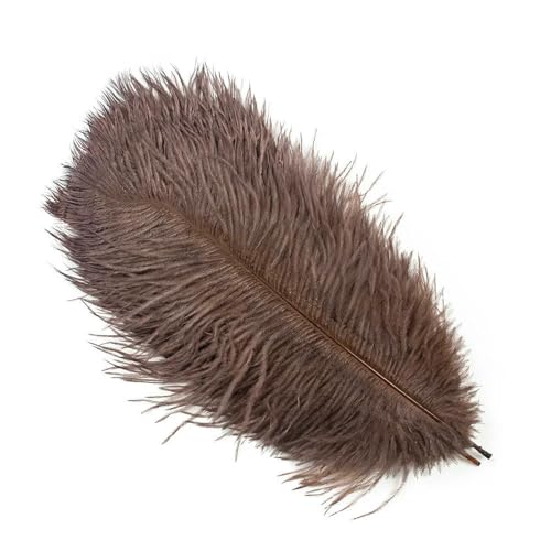 10 Stück farbige Straußenfedern 15–60 cm für Hochzeitsfeiern, Heimdekoration, weiße Straußenfedern, Tischdekoration, Kunsthandwerk, Kaffeebraun, 15–20 cm 10 Stück farbige Straußenfedern 15–60 cm für Hochzeitsfeiern, Heimdekoration, weiße Straußenfedern, Tischdekoration, Kunsthandwerk, Kaffeebraun, 15–20 cm von VHEOKG