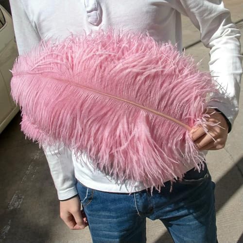 10 Stück farbige große Straußenfedern, 50–75 cm, flauschige Federn für Hochzeit, Karneval, Party, Zuhause, Restaurant, Vase, Dekoration, Bohnenpaste rosa, 50–55 cm 10 Stück farbige große Straußenfedern, 50–75 cm, flauschige Federn für Hochzeit, Karneval, Party, Zuhause, Restaurant, Vase, Dekoration, Bohnenpaste rosa, 50–55 cm von VHEOKG