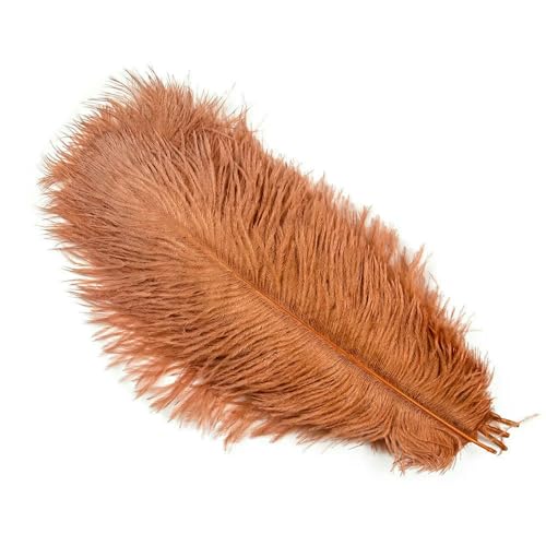 10 Stück flauschige Straußenfedern zum Basteln, Handarbeiten, natürliche Federn, Herstellung von Traumfängern, Hochzeitsfedern, Dekoration, 15–30 cm, roter Kaffee, 15–20 cm, 6– 10 Stück flauschige Straußenfedern zum Basteln, Handarbeiten, natürliche Federn, Herstellung von Traumfängern, Hochzeitsfedern, Dekoration, 15–30 cm, roter Kaffee, 15–20 cm, 6– von VHEOKG