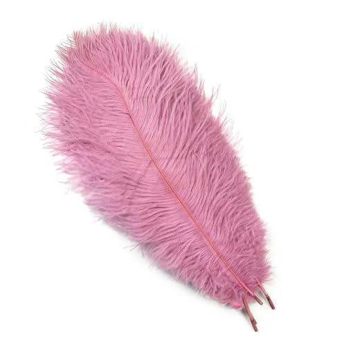 10 Stück natürliche weiße Straußenfedern zum Basteln, für Hochzeiten, Zuhause, Karneval, Dekoration, Tischdekoration, 15–20 cm, 20–25 cm, 30–35 cm, Feder-40, lila, rosa, 55–60 10 Stück natürliche weiße Straußenfedern zum Basteln, für Hochzeiten, Zuhause, Karneval, Dekoration, Tischdekoration, 15–20 cm, 20–25 cm, 30–35 cm, Feder-40, lila, rosa, 55–60 von VHEOKG