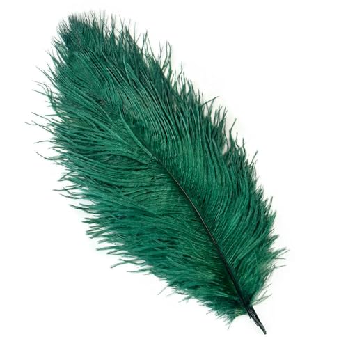 10 Stück natürliche weiße Straußenfedern zum Basteln, für Hochzeiten, Zuhause, Karneval, Dekoration, Tischdekoration, 15–20 cm, 20–25 cm, 30–35 cm, Plume-09 dunkelgrün-35–40 c 10 Stück natürliche weiße Straußenfedern zum Basteln, für Hochzeiten, Zuhause, Karneval, Dekoration, Tischdekoration, 15–20 cm, 20–25 cm, 30–35 cm, Plume-09 dunkelgrün-35–40 c von VHEOKG