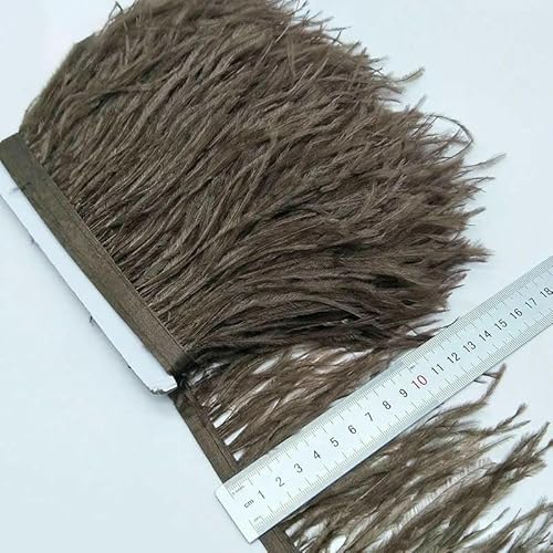 10 Yards Mintgrünes Straußenfederband Straußenfederbesatz Fransen Kleidungsdekoration-Dunkelkaffee-2 Yards von VHEOKG