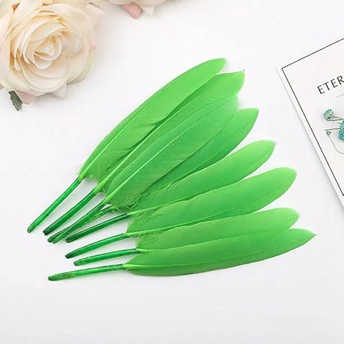 20/100 Stück Entenfedern, DIY-Federn zur Schmuckherstellung, Federn, Ohrringe, Heimdekoration, Hochzeitsdekoration, Bastelzubehör, 10–15 cm, grüne Federn, 100 Stück 20/100 Stück Entenfedern, DIY-Federn zur Schmuckherstellung, Federn, Ohrringe, Heimdekoration, Hochzeitsdekoration, Bastelzubehör, 10–15 cm, grüne Federn, 100 Stück von VHEOKG