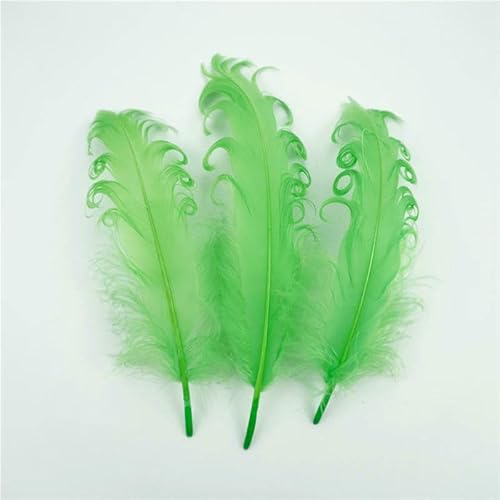 20 Stück/Lot Spirale Bunte Gänsefedern Bastelzubehör Tischdekoration Hochzeit Party Dekoration DIY Schmuck Kreation-grün 20 Stück/Lot Spirale Bunte Gänsefedern Bastelzubehör Tischdekoration Hochzeit Party Dekoration DIY Schmuck Kreation-grün von VHEOKG