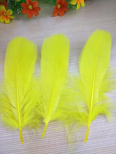 20 Stück hochwertige natürliche Gänsefedern, 13–18 cm, DIY-Schmuckdekoration, Gelb, 100 Stück 20 Stück hochwertige natürliche Gänsefedern, 13–18 cm, DIY-Schmuckdekoration, Gelb, 100 Stück von VHEOKG
