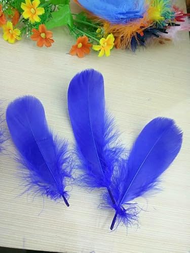 20 Stück hochwertige natürliche Gänsefedern, 13–18 cm, DIY-Schmuckdekoration, Königsblau, 20 Stück von VHEOKG