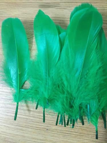 20 Stück hochwertige natürliche Gänsefedern, 13–18 cm, DIY-Schmuckdekoration, grün, 20 Stück 20 Stück hochwertige natürliche Gänsefedern, 13–18 cm, DIY-Schmuckdekoration, grün, 20 Stück von VHEOKG