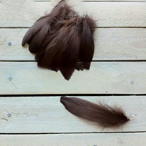 20 Stück hochwertige natürliche Gänsefedern, 13–18 cm, DIY-Schmuckdekoration – Dunkelkaffee – 20 Stück von VHEOKG