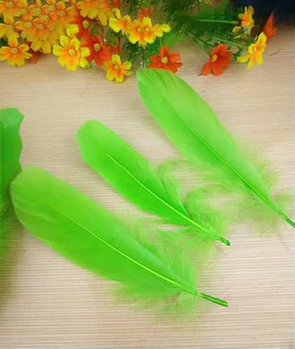 20 Stück hochwertige natürliche Gänsefedern, 13–18 cm, DIY-Schmuckdekoration – grün – 100 Stück 20 Stück hochwertige natürliche Gänsefedern, 13–18 cm, DIY-Schmuckdekoration – grün – 100 Stück von VHEOKG