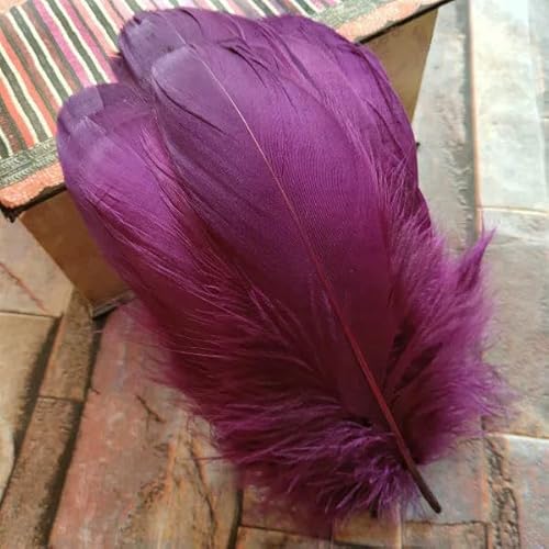 20 Stück natürliche Gänsefedern, 31 Farben, lose Gänsefedern, 12–20 cm lang, Weihnachtsdekoration, Kleidung, Schuhe, Hutzubehör, violettrot 20 Stück natürliche Gänsefedern, 31 Farben, lose Gänsefedern, 12–20 cm lang, Weihnachtsdekoration, Kleidung, Schuhe, Hutzubehör, violettrot von VHEOKG