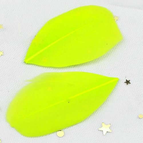 30 Farben DIY 100 Stück Gänsefederspitze Rundkopf 5-7 cm Bastelzubehör Dekorationsmaterialien Partydeko Zubehör Federn-Fluoreszenz von VHEOKG