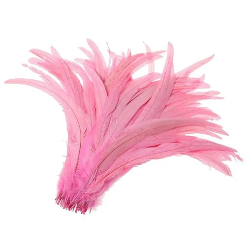 50–500 Stück Wurzelfarbe türkisblaue Hahnenschwanzfedern 25–30 cm / 10–12 Zoll DIY Hochzeitsfeierartikel zur Verwendung-Rosa-25–30 cm 500 Stück 50–500 Stück Wurzelfarbe türkisblaue Hahnenschwanzfedern 25–30 cm / 10–12 Zoll DIY Hochzeitsfeierartikel zur Verwendung-Rosa-25–30 cm 500 Stück von VHEOKG