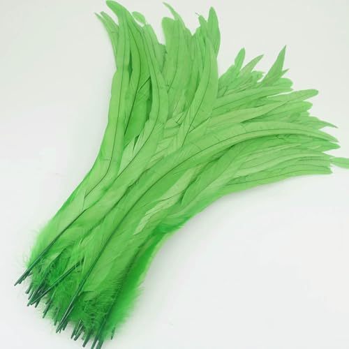50 Stück/Los Bunte Hahnenfedern zum Basteln von Kleidung, 25–45 cm, Hahnenschwanzfedern, Dekoration für Karneval, DIY, künstliche Dekorationen – Grün, 35–40 cm 50 Stück/Los Bunte Hahnenfedern zum Basteln von Kleidung, 25–45 cm, Hahnenschwanzfedern, Dekoration für Karneval, DIY, künstliche Dekorationen – Grün, 35–40 cm von VHEOKG