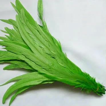 50 Stück 25–45 cm 10–18 Zoll Hahnenschwanzfedern, braunrot, DIY gefärbt, natürlich, für Kleidung, Accessoires, Schmuck, Leistung – grün – 25–30 cm, 50 Stück von VHEOKG