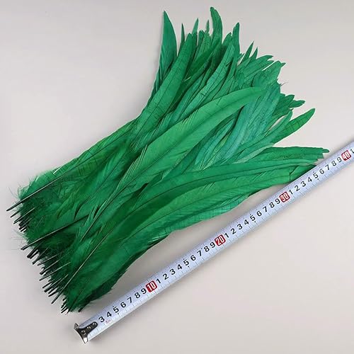 50 Stück 35–40 cm Hahnenschwanzfedern zum Basteln, Karnevalszubehör, natürliche lange Federn, Hühnerdekoration, Federkopfschmuck, Glasgrün, 35–40 cm, 100 Stück 50 Stück 35–40 cm Hahnenschwanzfedern zum Basteln, Karnevalszubehör, natürliche lange Federn, Hühnerdekoration, Federkopfschmuck, Glasgrün, 35–40 cm, 100 Stück von VHEOKG