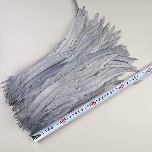 50 Stück 35–40 cm Hahnenschwanzfedern zum Basteln, Karnevalszubehör, natürliche lange Federn, Hühnerdekoration, Federkopfschmuck, grau, 40–45 cm, 100 Stück 50 Stück 35–40 cm Hahnenschwanzfedern zum Basteln, Karnevalszubehör, natürliche lange Federn, Hühnerdekoration, Federkopfschmuck, grau, 40–45 cm, 100 Stück von VHEOKG