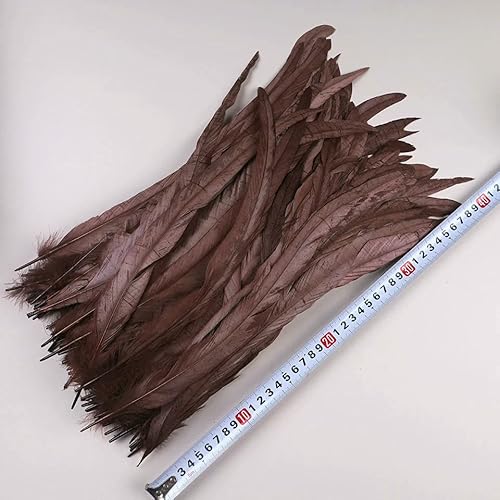 50 Stück 35–40 cm Hahnenschwanzfedern zum Basteln, Karnevalszubehör, natürliche lange Federn, Hühnerdekoration, Federkopfschmuck-Kaffee-40–45 cm, 100 Stück von VHEOKG