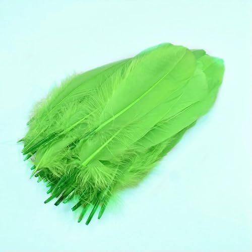 50 Stück natürliche Gänsefedern, Federn, Basteln, königsblau, Federn für Hochzeiten, Partys, Schmuckherstellung, Dekoration, Zubehör, 13–18 cm, grün 50 Stück natürliche Gänsefedern, Federn, Basteln, königsblau, Federn für Hochzeiten, Partys, Schmuckherstellung, Dekoration, Zubehör, 13–18 cm, grün von VHEOKG