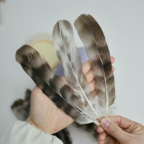 50 Teile/los natürliche huhn feder DIY handwerk zubehör kleidung party hut dekoration Seltene Federn-Natur 50 Teile/los natürliche huhn feder DIY handwerk zubehör kleidung party hut dekoration Seltene Federn-Natur von VHEOKG