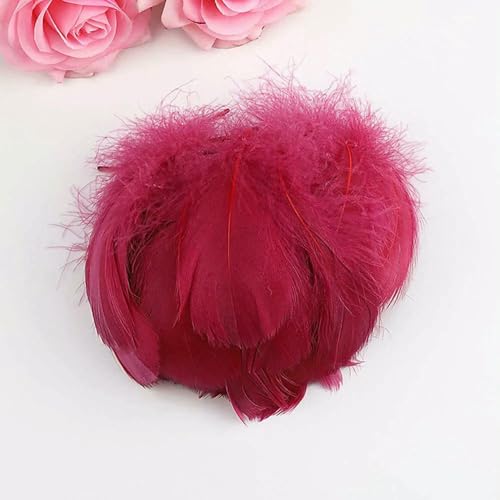 6~11 cm farbige Gänsefedern mittlerer Größe für Hochzeitsfeierdekoration, Handarbeiten, Kunsthandwerk, Federn, 50 Stück ~ 400 Stück, G7 Weinrot, 200 Stück 6~11 cm farbige Gänsefedern mittlerer Größe für Hochzeitsfeierdekoration, Handarbeiten, Kunsthandwerk, Federn, 50 Stück ~ 400 Stück, G7 Weinrot, 200 Stück von VHEOKG