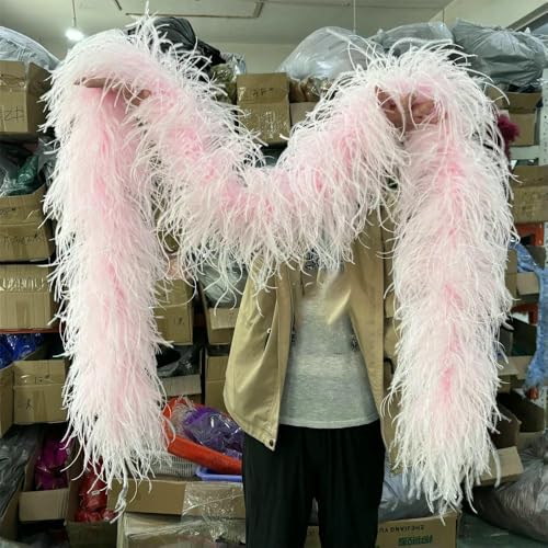 6 8 10-lagige rosarote Straußenfeder-Boas, 1 m, 2 m, flauschiger Federboa-Schal für Partykleid, Rock, Kleidung, Dekor, Federschal, Hellrosa, 2 m, 8-lagig 6 8 10-lagige rosarote Straußenfeder-Boas, 1 m, 2 m, flauschiger Federboa-Schal für Partykleid, Rock, Kleidung, Dekor, Federschal, Hellrosa, 2 m, 8-lagig von VHEOKG