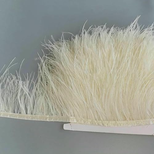 8–13 cm, 2 Meter, dekorative Straußenfederbesätze, Federn, Fransenbänder für Handarbeiten, Kleider, Kleidung, Handarbeitszubehör, S32, Beige/Creme, 10 Meter 8–13 cm, 2 Meter, dekorative Straußenfederbesätze, Federn, Fransenbänder für Handarbeiten, Kleider, Kleidung, Handarbeitszubehör, S32, Beige/Creme, 10 Meter von VHEOKG