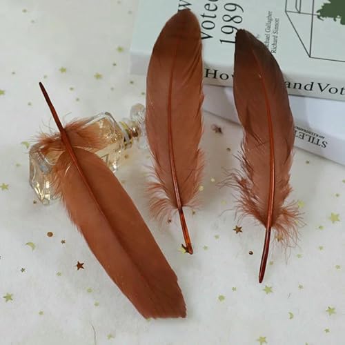 Feder 50 Stück/Los Natürliche weiße Gänsefedern 15-20 cm Dekoration Hochzeit DIY Bunte Feder Material Zubehör-Dunkelbraun Feder 50 Stück/Los Natürliche weiße Gänsefedern 15-20 cm Dekoration Hochzeit DIY Bunte Feder Material Zubehör-Dunkelbraun von VHEOKG
