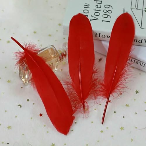Feder 50 Stück/Los Natürliche weiße Gänsefedern 15-20 cm Dekoration Hochzeit DIY Bunte Feder Material Zubehör-rot von VHEOKG