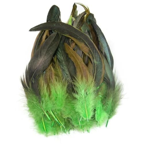 Großhandel 50 Stück/Los Fasanenfedern 15–20 cm natürliche Hühnerfedern DIY Hühnerfeder Schmuck Feder Dekoration Federn- grün-15–20 cm Großhandel 50 Stück/Los Fasanenfedern 15–20 cm natürliche Hühnerfedern DIY Hühnerfeder Schmuck Feder Dekoration Federn- grün-15–20 cm von VHEOKG