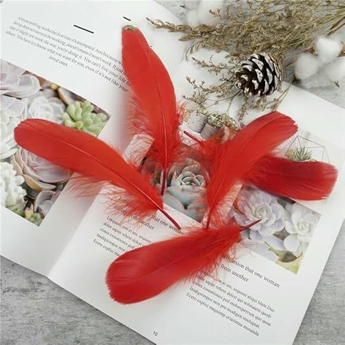 Großhandel Weiche Gänsefeder 13-18 cm Natürliche Schwanenfeder für DIY Schmuckherstellung Bastelzubehör Hochzeitsfeierdekoration-Rot-20 Stück Großhandel Weiche Gänsefeder 13-18 cm Natürliche Schwanenfeder für DIY Schmuckherstellung Bastelzubehör Hochzeitsfeierdekoration-Rot-20 Stück von VHEOKG
