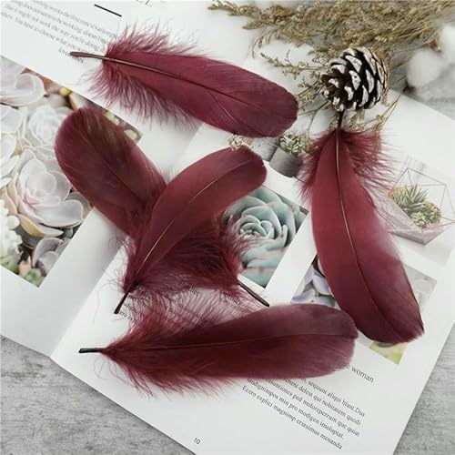 Großhandel Weiche Gänsefeder 13-18 cm Natürliche Schwanenfeder für DIY Schmuckherstellung Bastelzubehör Hochzeitsfeierdekoration-Weinrot-100 Stück Großhandel Weiche Gänsefeder 13-18 cm Natürliche Schwanenfeder für DIY Schmuckherstellung Bastelzubehör Hochzeitsfeierdekoration-Weinrot-100 Stück von VHEOKG