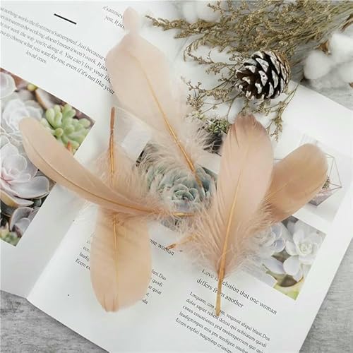 Großhandel Weiche Gänsefeder 13-18 cm Natürliche Schwanenfeder für DIY Schmuckherstellung Handarbeitszubehör Hochzeitsfeierdekoration-Hellbraun-20 Stück Großhandel Weiche Gänsefeder 13-18 cm Natürliche Schwanenfeder für DIY Schmuckherstellung Handarbeitszubehör Hochzeitsfeierdekoration-Hellbraun-20 Stück von VHEOKG