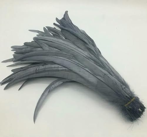 Hahnenschwanzfedern, 100 Stück, Rot/Schwarz, alle Größen, DIY-Feder, Kleidung, Schmuck, Zubehör, Hochzeitsbedarf, Leistung notwendig, grau, 30–35 cm von VHEOKG