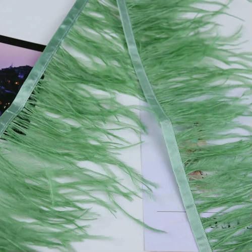 Meter natürliches Straußenfeder-Besatzband, 8–10 cm, Federfransen zum Nähen, Basteln, Partykleid, Kleidungsdekoration, Valini-Grün, 8–10 cm, 1 Meter Meter natürliches Straußenfeder-Besatzband, 8–10 cm, Federfransen zum Nähen, Basteln, Partykleid, Kleidungsdekoration, Valini-Grün, 8–10 cm, 1 Meter von VHEOKG