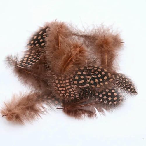 Natürliche Federn, mehrfarbig, 4,5–8 cm, 2–4 Zoll, perlmuttgefleckte Hühnerfedern zum Basteln, DIY-Schmuckzubehör, Federn, braun, 4,5–8 cm, 200 Stück Natürliche Federn, mehrfarbig, 4,5–8 cm, 2–4 Zoll, perlmuttgefleckte Hühnerfedern zum Basteln, DIY-Schmuckzubehör, Federn, braun, 4,5–8 cm, 200 Stück von VHEOKG