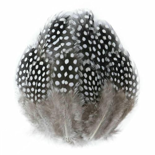 Natürliche Pfauenfasanenfedern zum Basteln, Straußenfedern, Hochzeit, Heimdekoration, DIY-Schmuck, Plumas, 15–50 Stück Natürliche Pfauenfasanenfedern zum Basteln, Straußenfedern, Hochzeit, Heimdekoration, DIY-Schmuck, Plumas, 15–50 Stück von VHEOKG