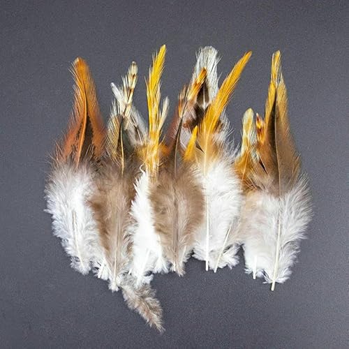 Natürliche Pfauenfasanenfedern zum Basteln, Straußenfedern, Hochzeit, Heimdekoration, DIY-Schmuck, Plumas, 20–50 Stück Natürliche Pfauenfasanenfedern zum Basteln, Straußenfedern, Hochzeit, Heimdekoration, DIY-Schmuck, Plumas, 20–50 Stück von VHEOKG